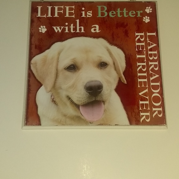 Puppy Pictures - Picture 2 of 8